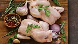 Iran chicken meat exports soar amid increased production
